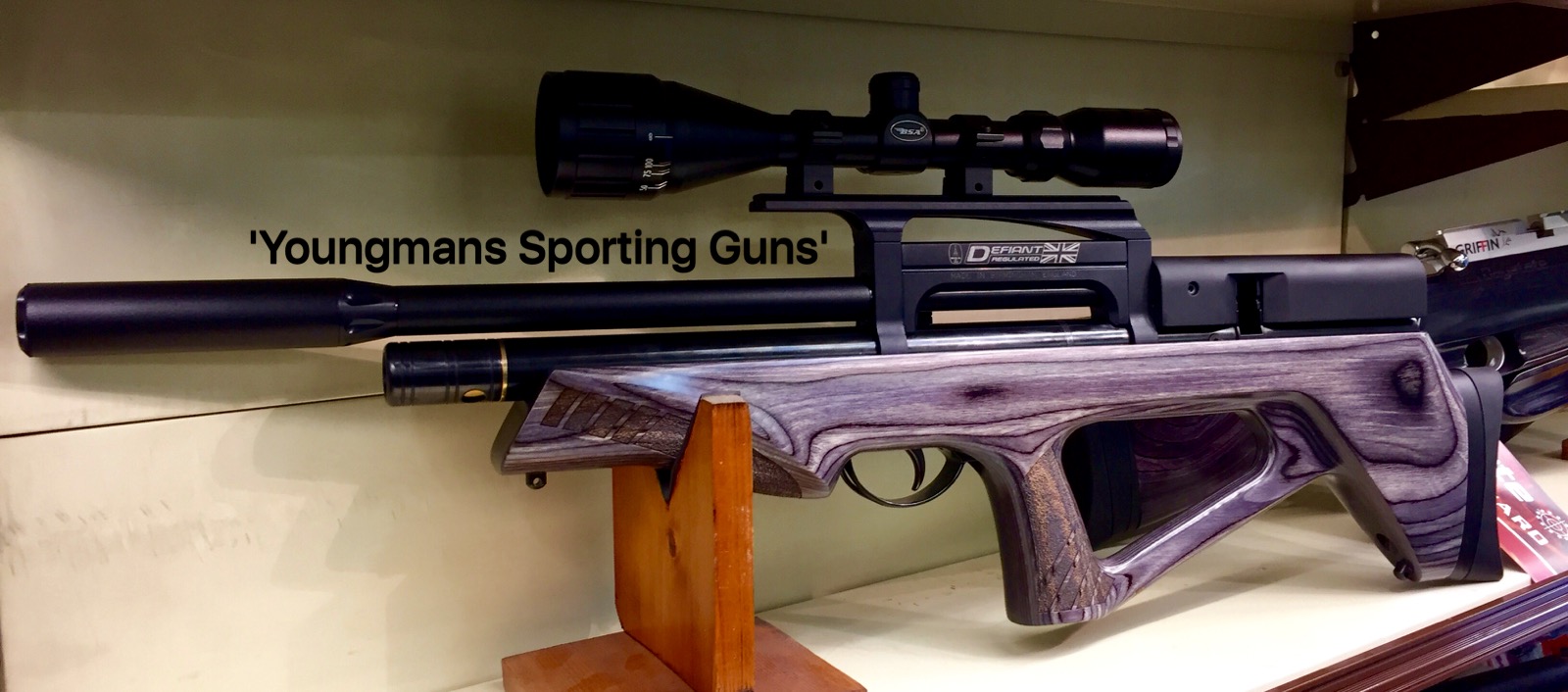 The NEW BSA DEFIANT LAMINATED .177